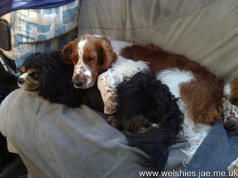 2009-09-09 29.jpg - Just giving my brother a hug...